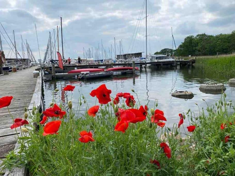Ferienhaus Mit Wasserblick Auf Der Insel Usedom Krummin Zewnętrze zdjęcie